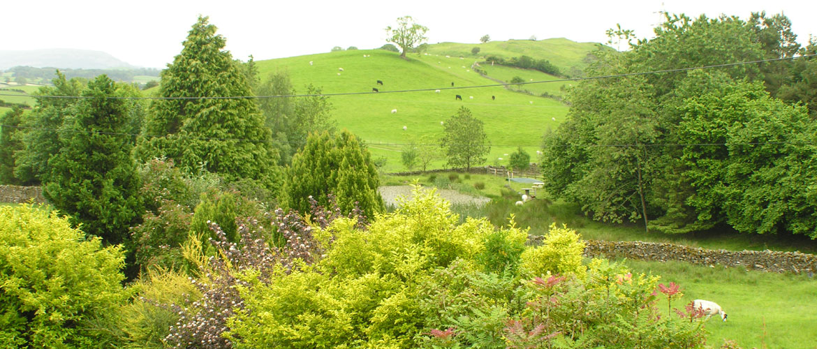 The View From Hollins Farm Barn